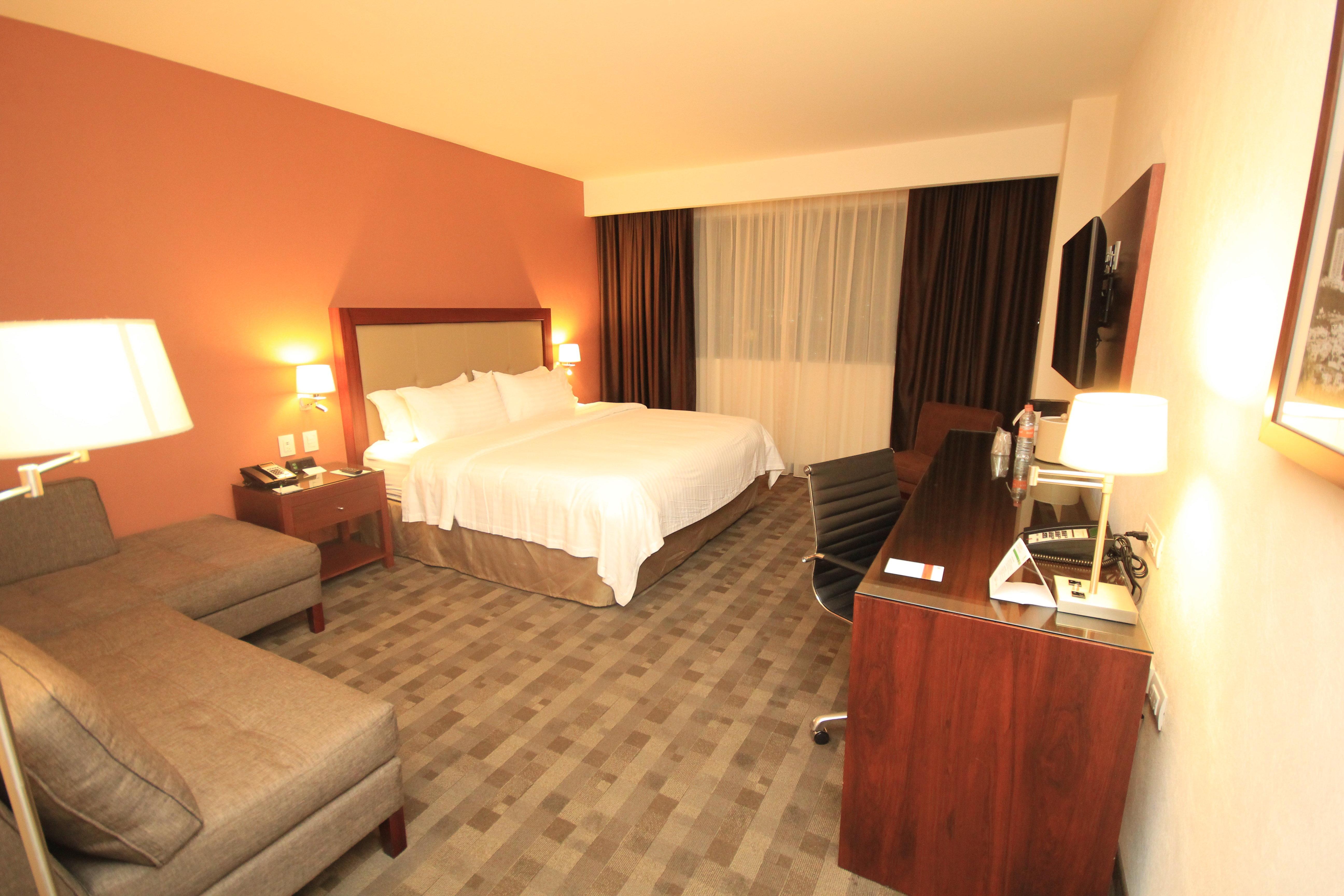 Holiday Inn & Suites Plaza Mayor By Ihg León Buitenkant foto