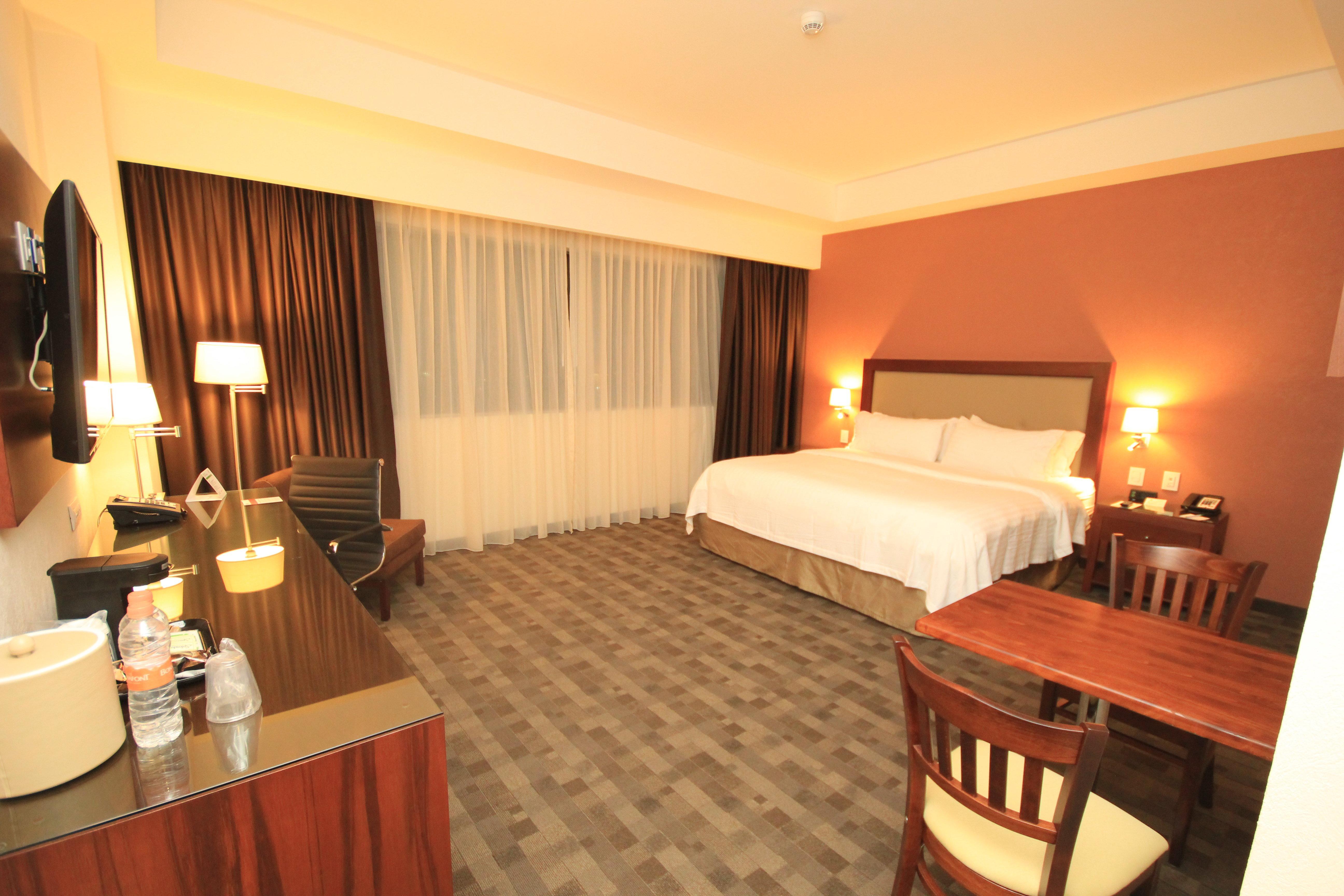 Holiday Inn & Suites Plaza Mayor By Ihg León Buitenkant foto