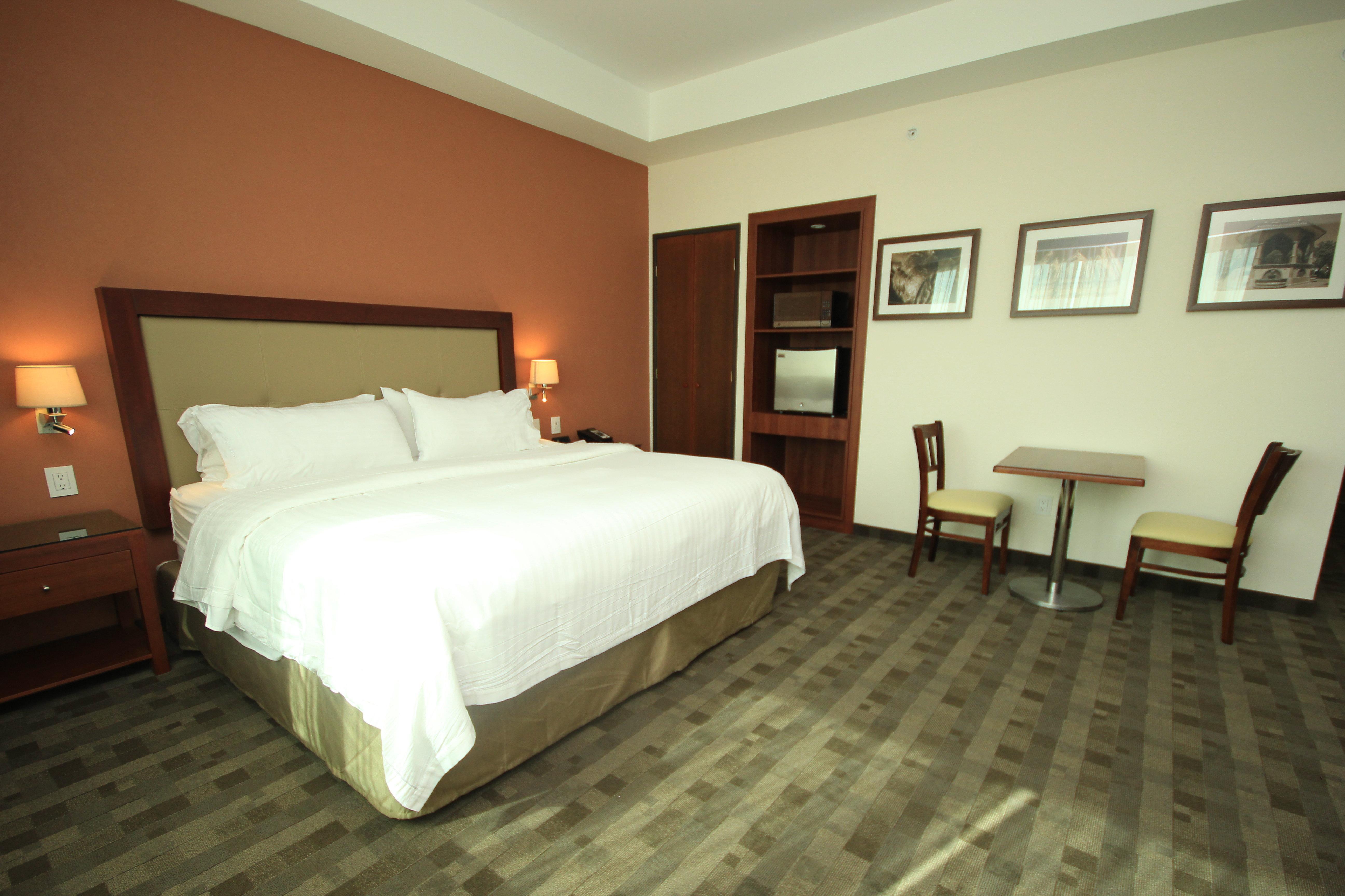 Holiday Inn & Suites Plaza Mayor By Ihg León Buitenkant foto