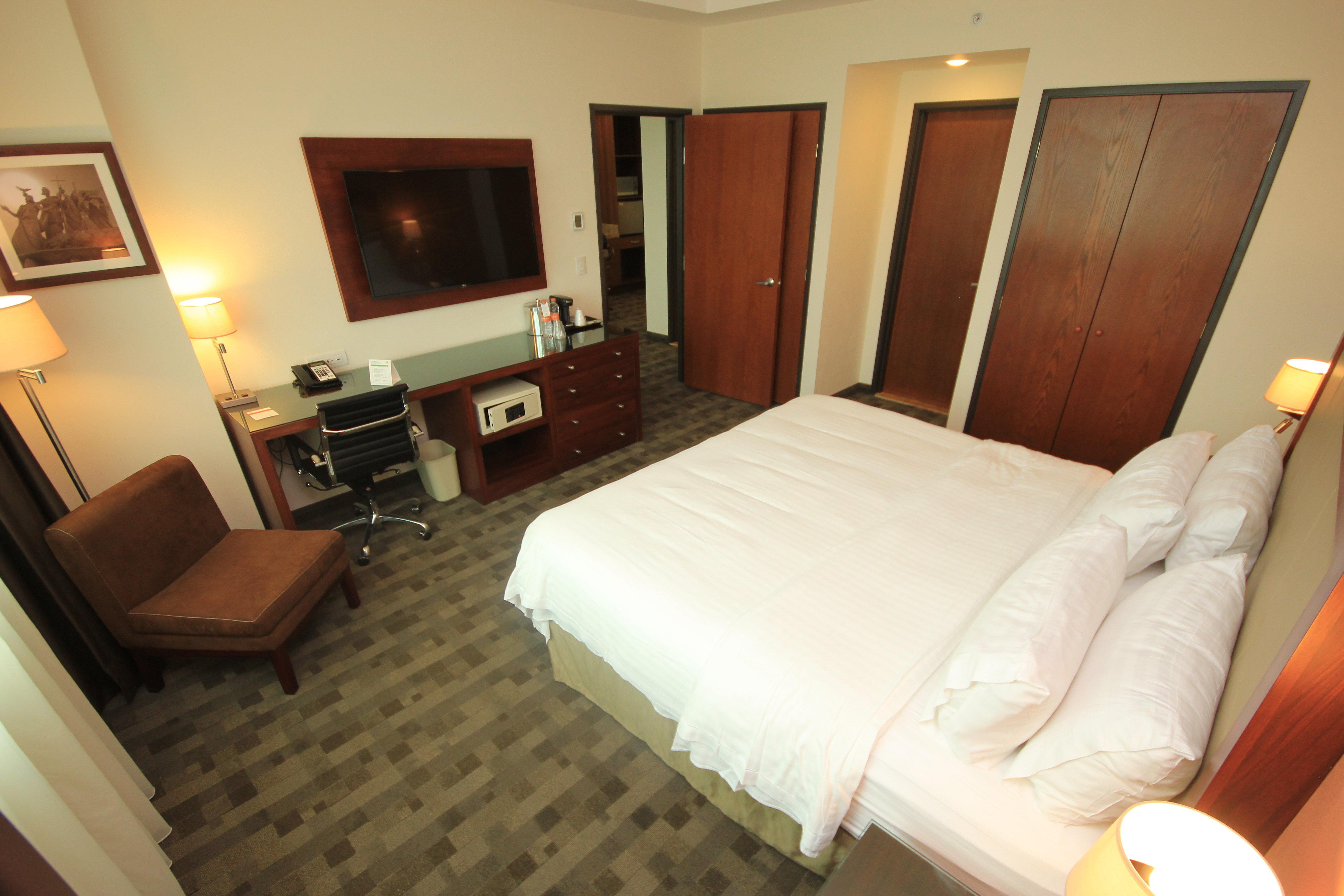 Holiday Inn & Suites Plaza Mayor By Ihg León Buitenkant foto